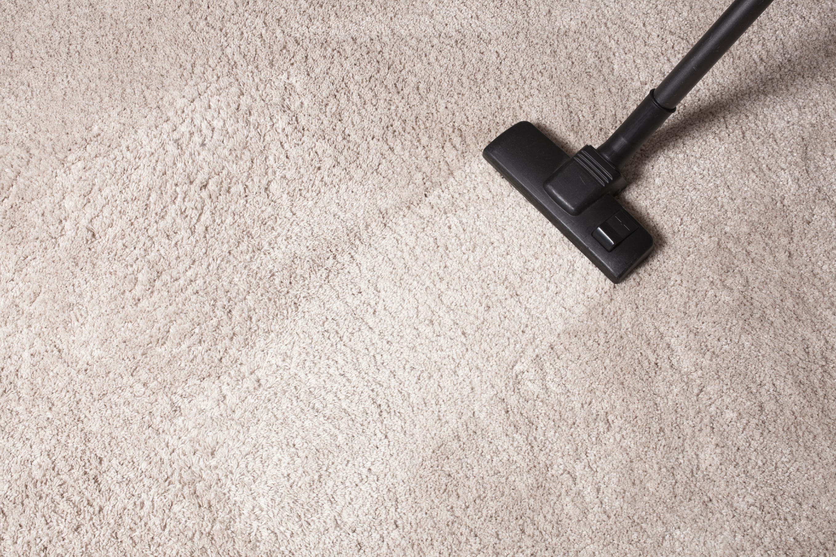JR Hadley Carpet Cleaning | Rotary